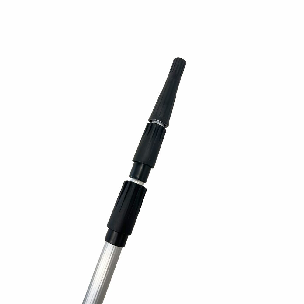 ERG3